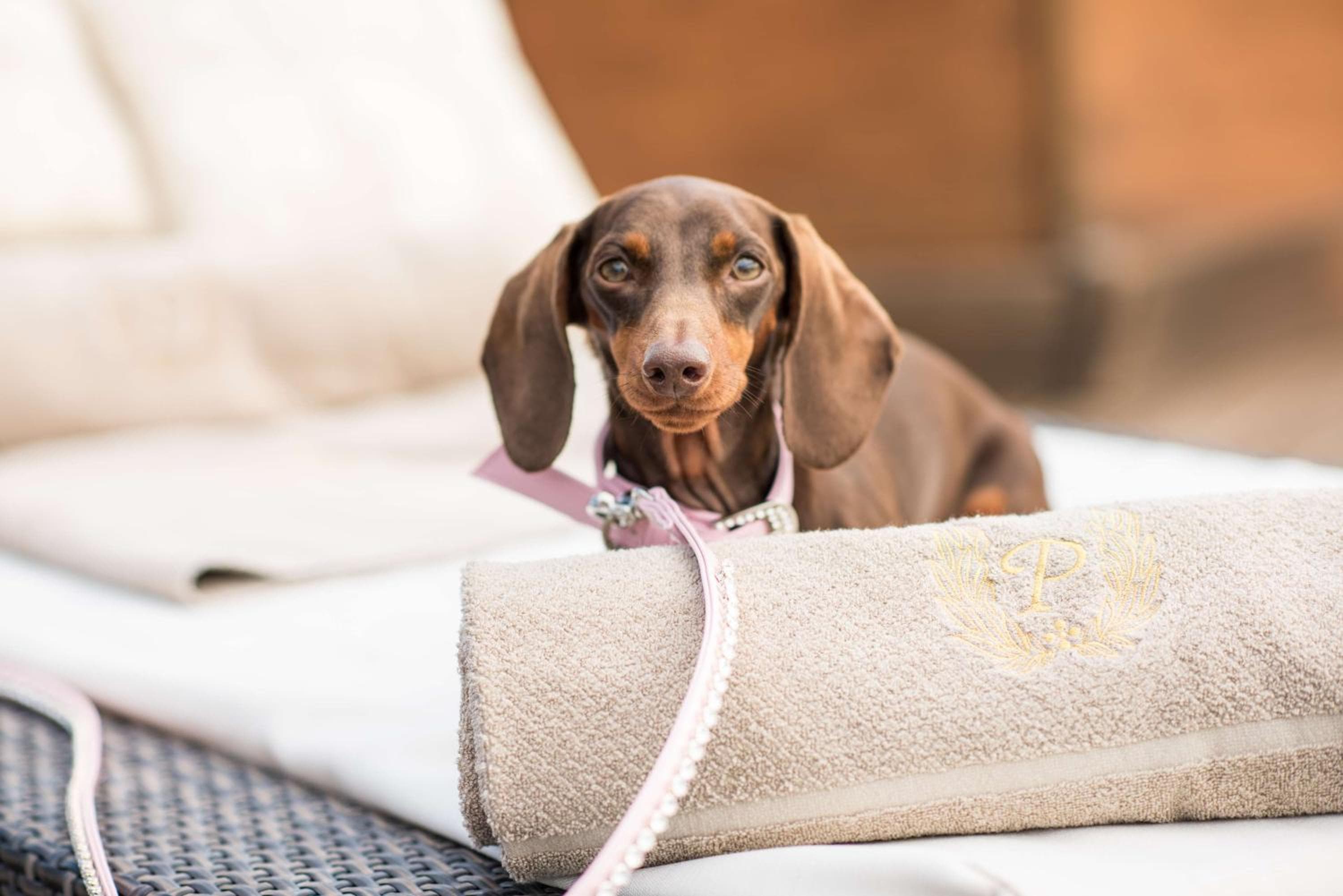 Rome Cavalieri, A Waldorf Astoria Hotel 5